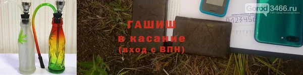 каннабис Алзамай